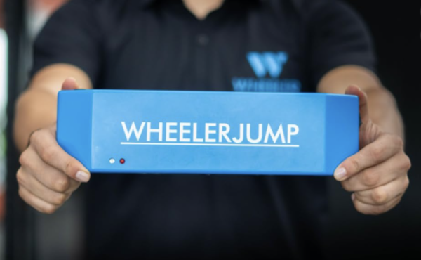 WheelerJump: The Book Neuromuscular Assessment for Sports Performance - Image 4